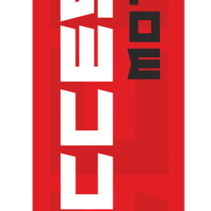 ACCESS Flag 90x400cm 2018