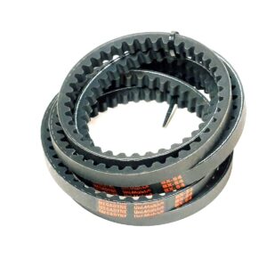 BERCOMAC PAIR OF V-BELT BX-54